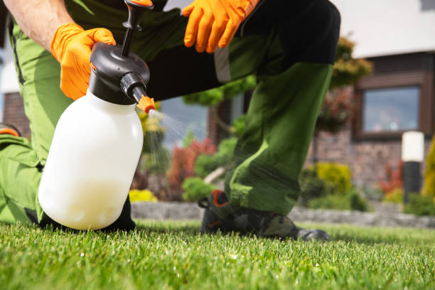 Reliable St Martin, MS Pest Control Solutions