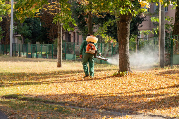 Best Affordable Pest Control Services  in St Martin, MS